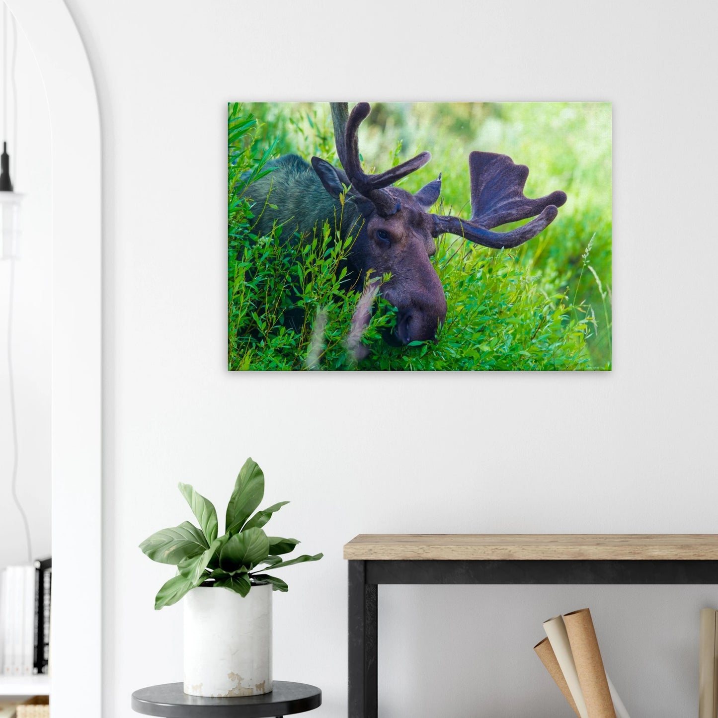 260db9b3-a9d2-411d-a2fb-a49829c82f15