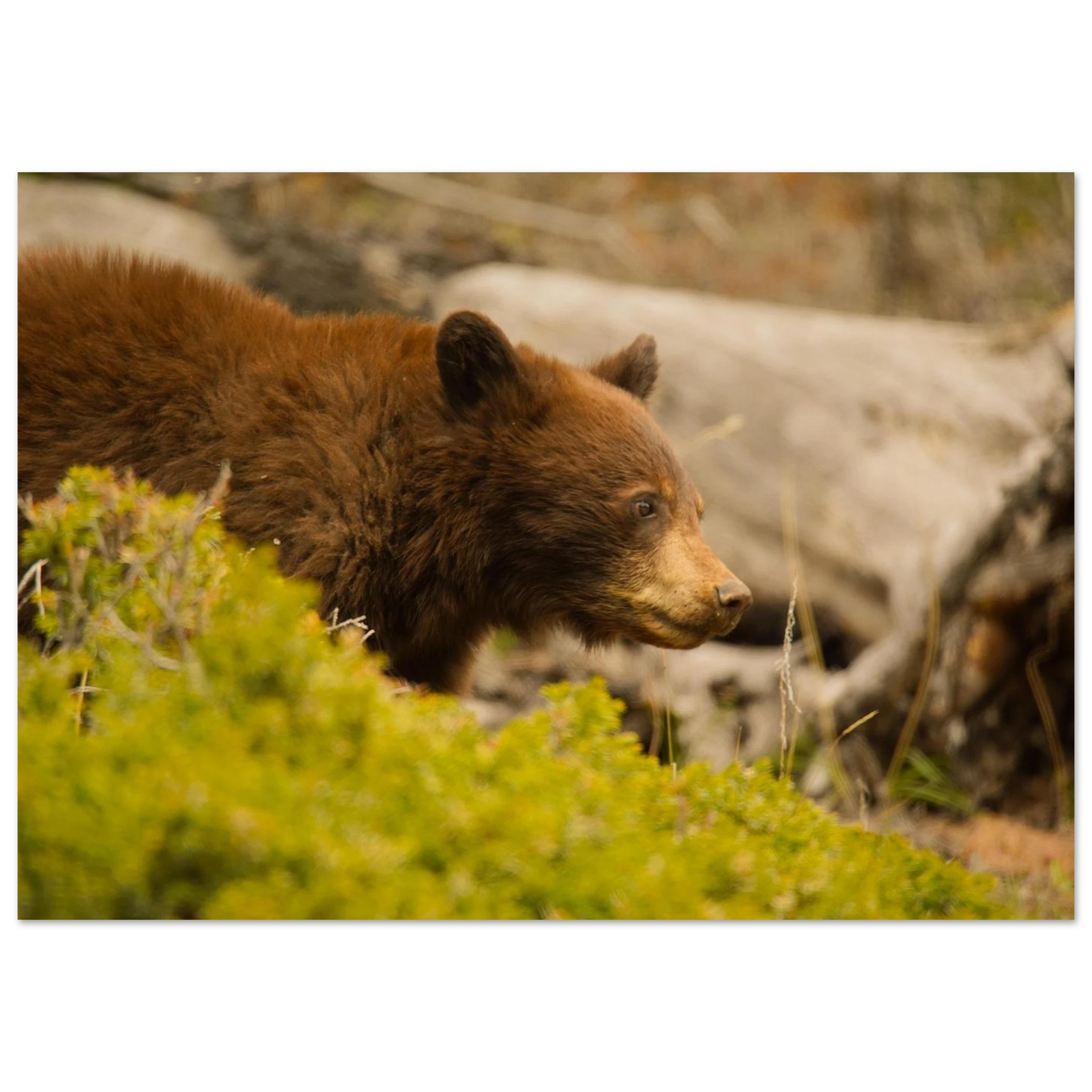 47f4bb49-0741-4c82-81be-e8dd6cbf5162