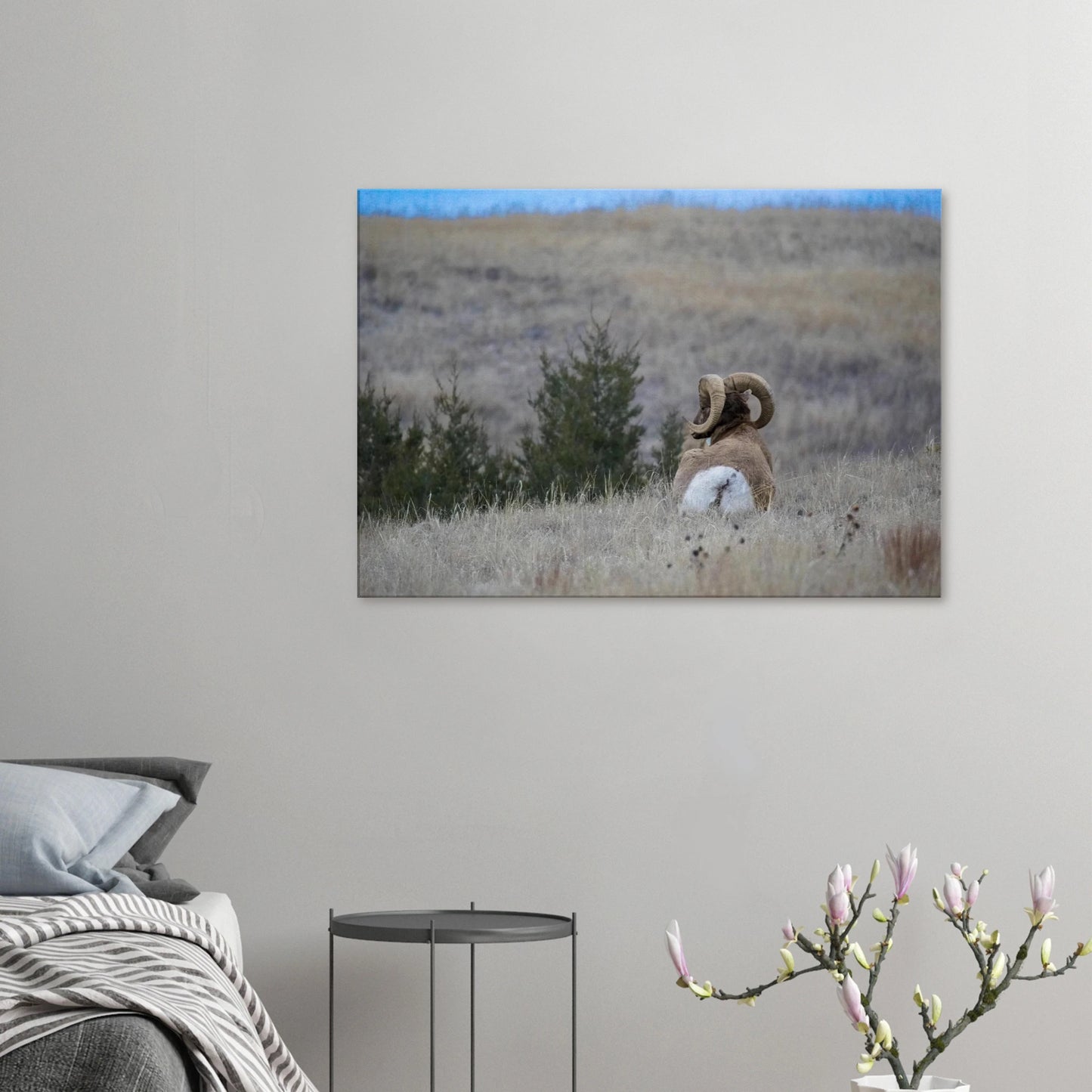 52ce5261-74ca-479b-9233-eb24f96dfa7d