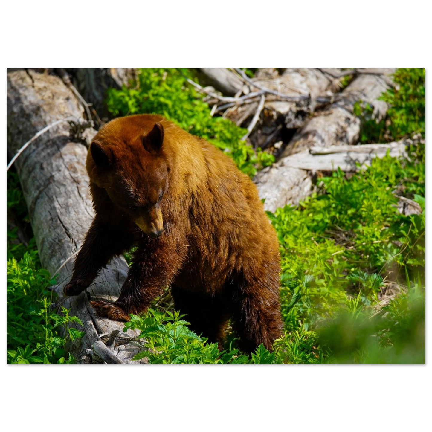 711f4ec1-30be-4a96-929d-dd719acbb05d