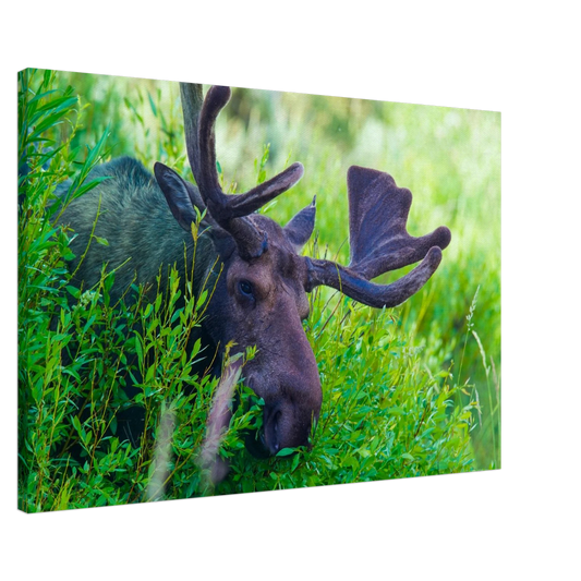 a022d640-d7e8-4b7b-960e-bf2dcec02b31