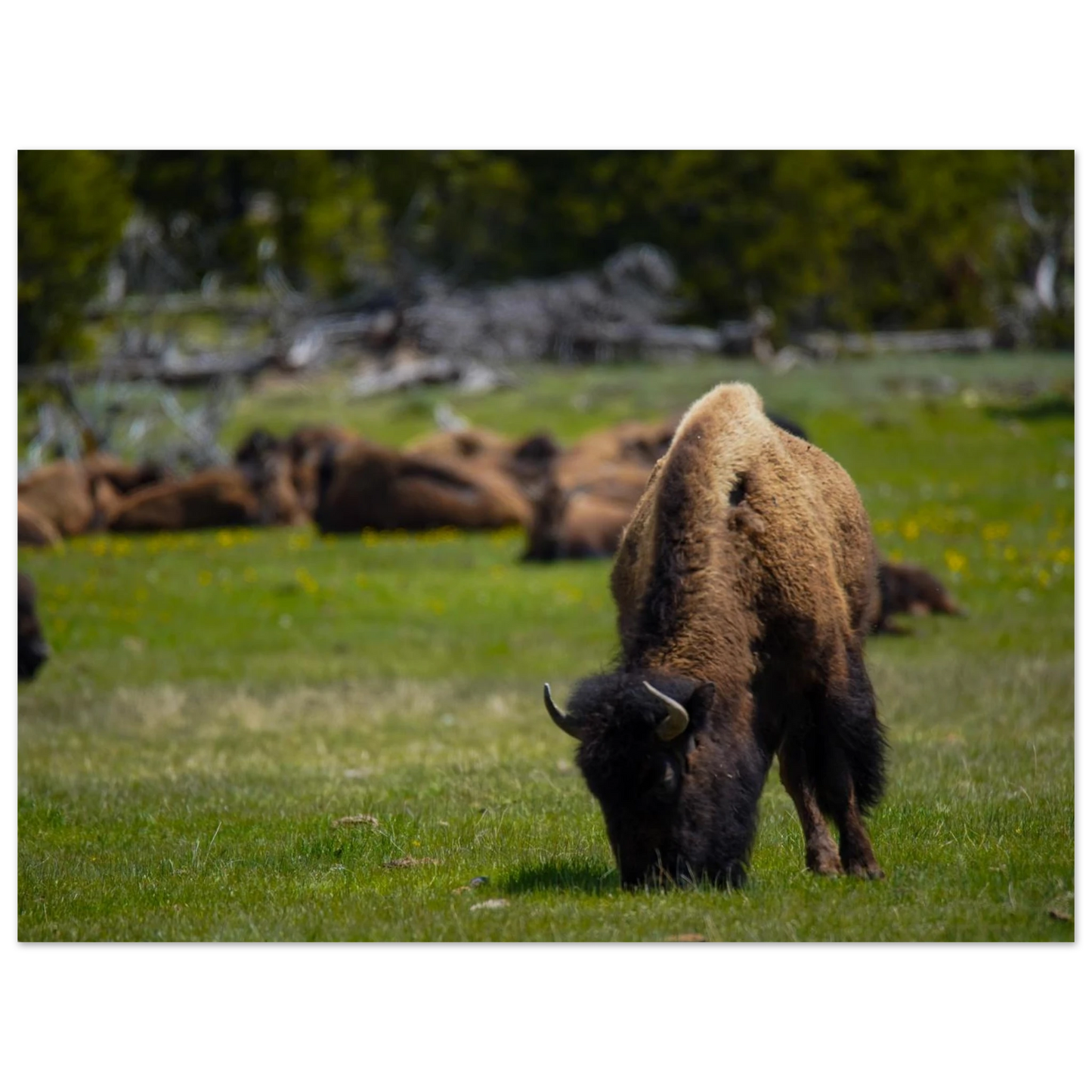 c091cce4-cdeb-4a26-b4ea-82895ab6c44d