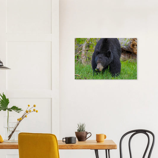 c5a402c8-902a-4009-af7d-14c2d4aa39fc