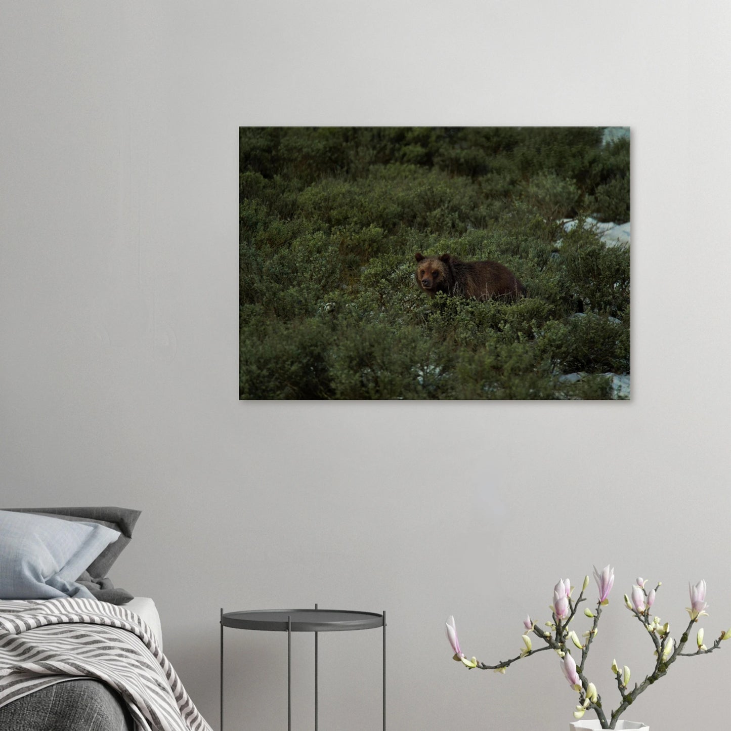 d16d6526-67f0-45e6-9a17-655f2f583ff3