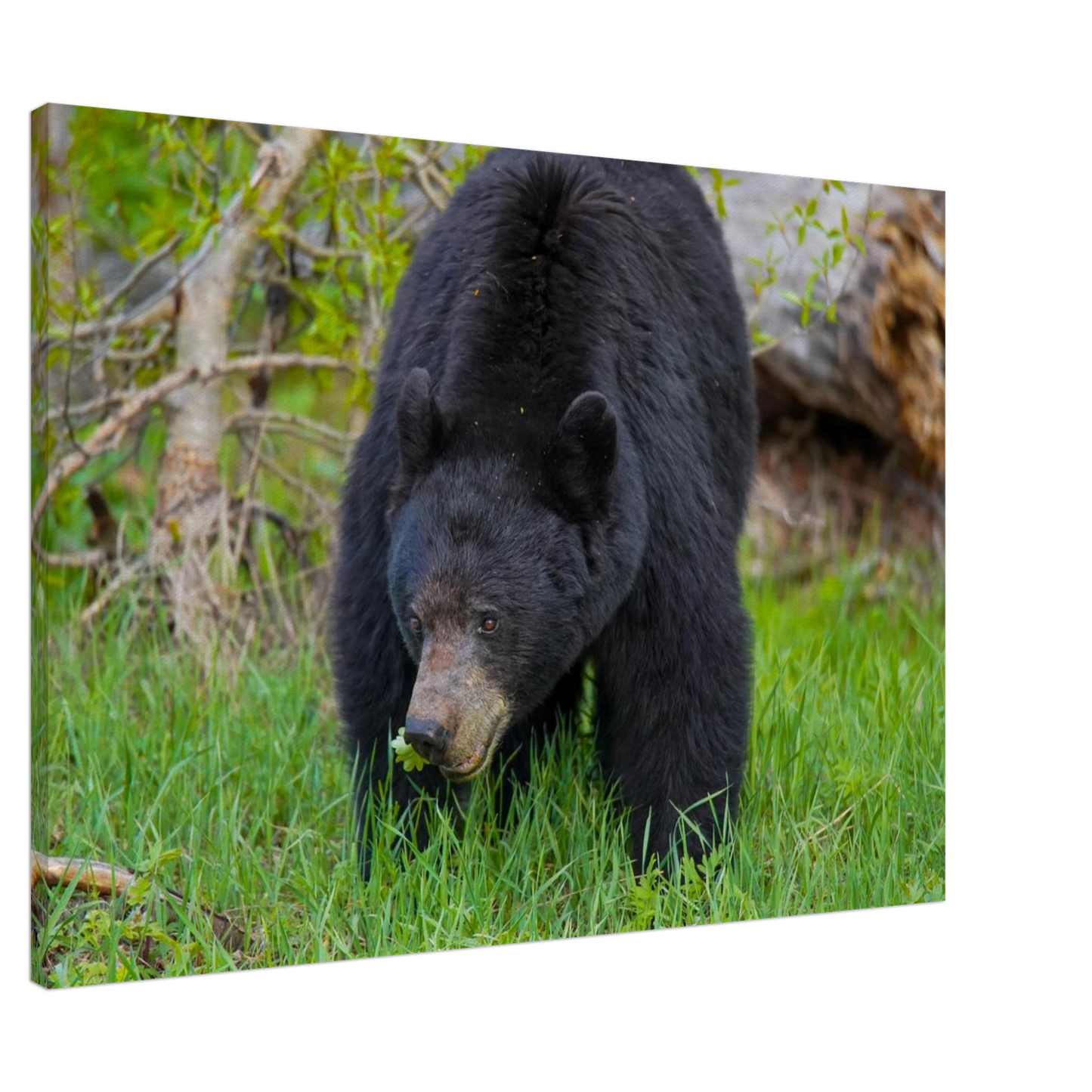 ec7c3fdd-7b57-4eea-be0d-7209b1733817