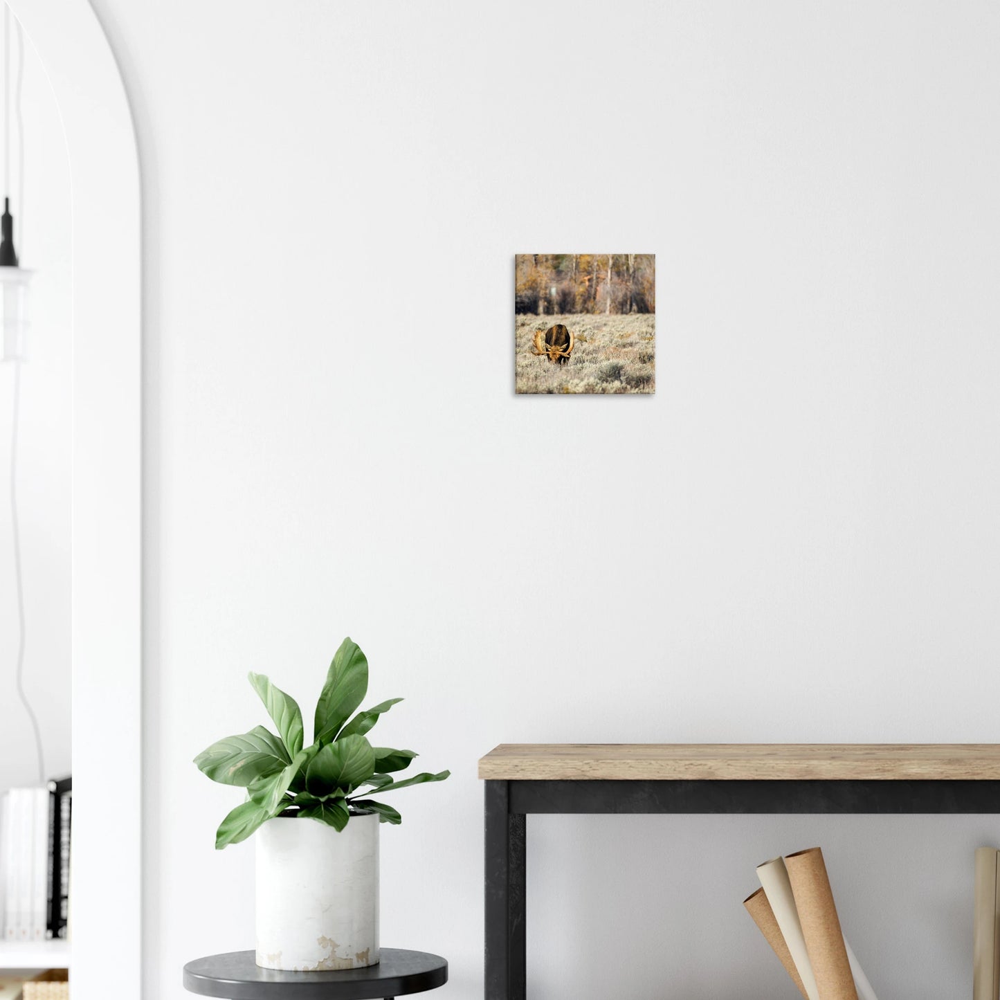 034d1004-b891-48eb-8e66-9c271f2c0209