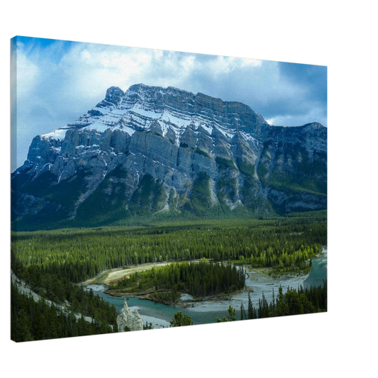 048d1455-ff3e-47f6-9bc6-ebbbe923a98f