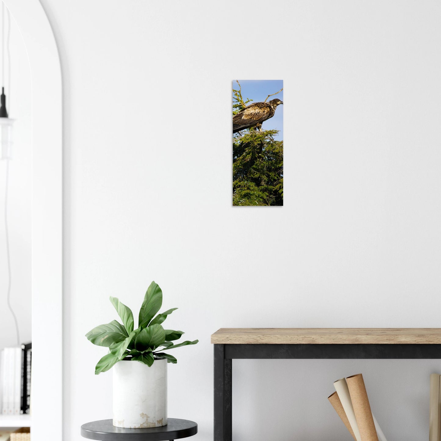 0499a4fc-8f71-43bd-9b57-23559ad64dd6