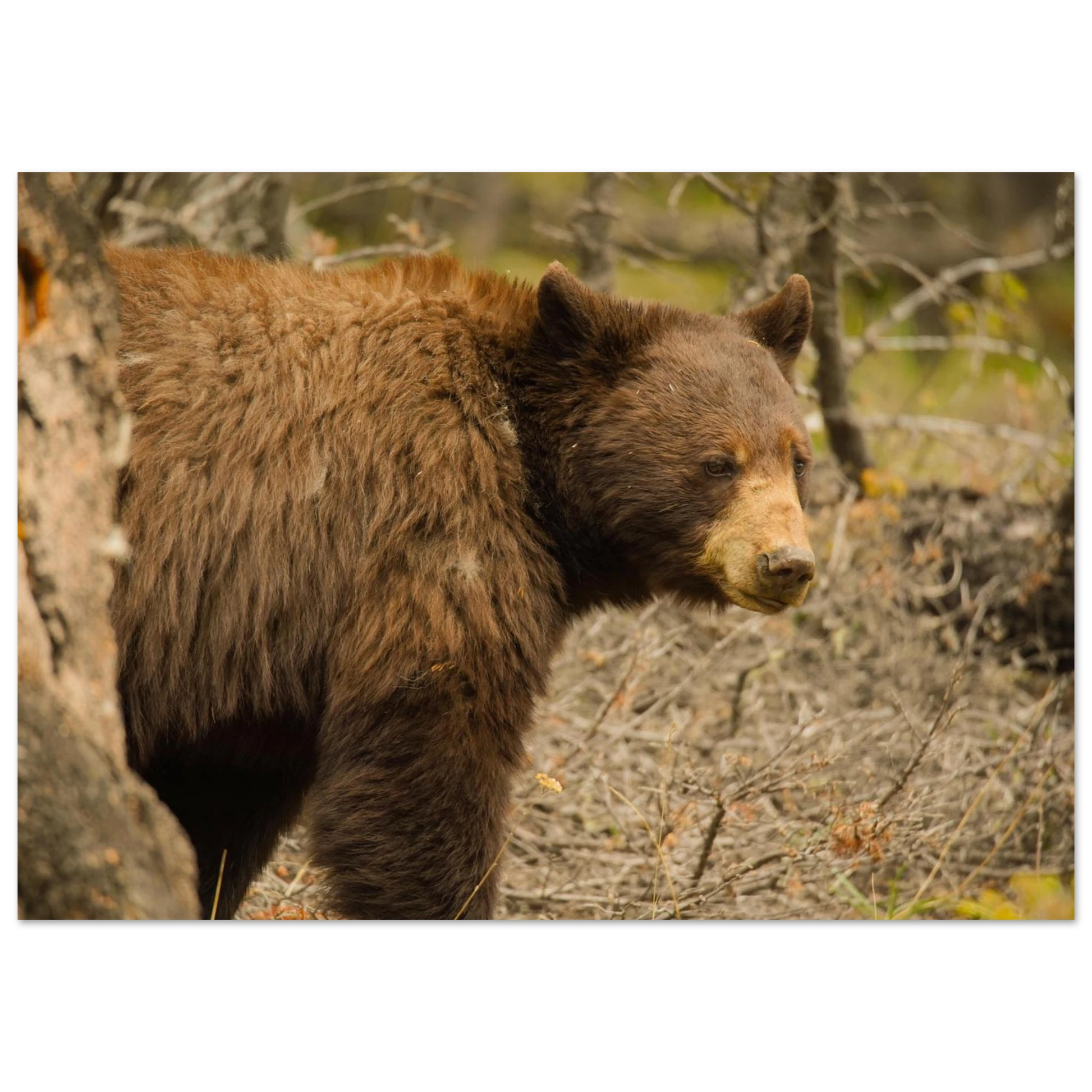 05d2f9fe-2aa7-47f7-a6e5-d148702d242a