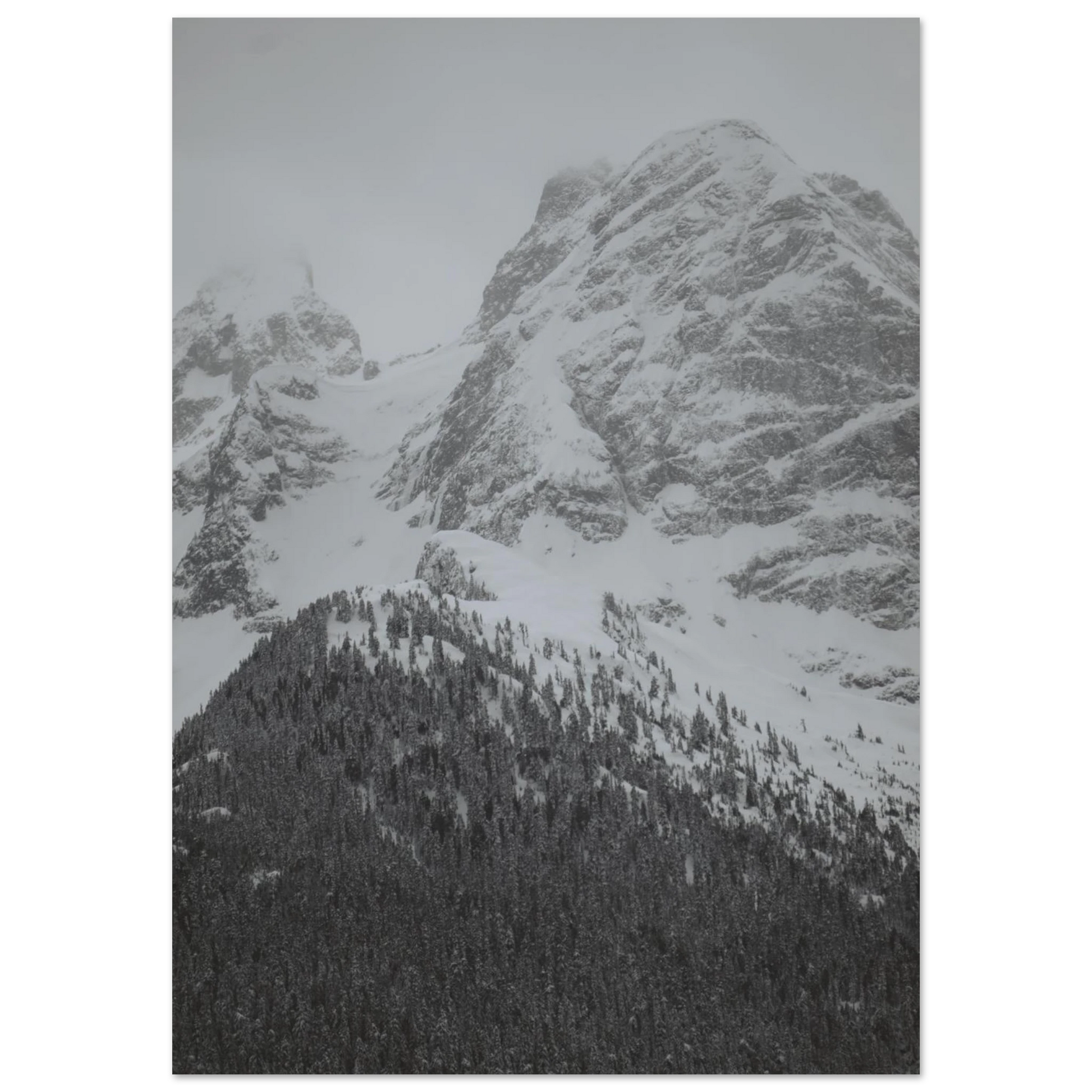 05e4d839-7a98-4a01-bc50-87599e0f3ac0