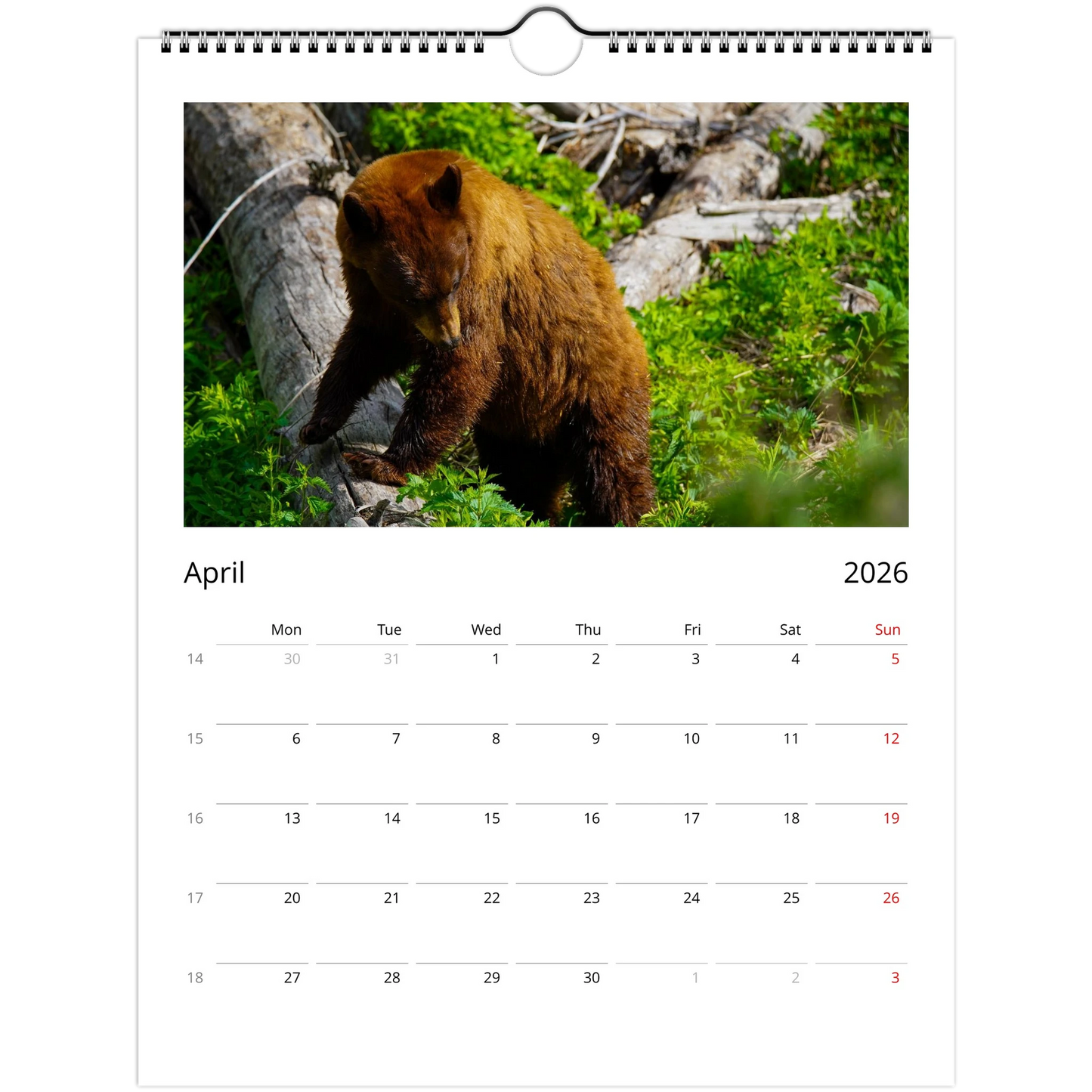 0e1ed3fc-1e5e-49ee-9591-32aaae4860ea