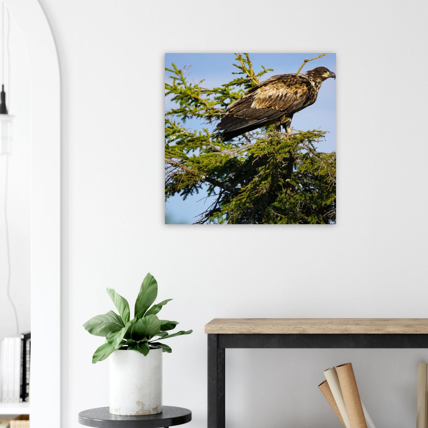 0ebcef81-8e78-414c-81b7-35205c6170de