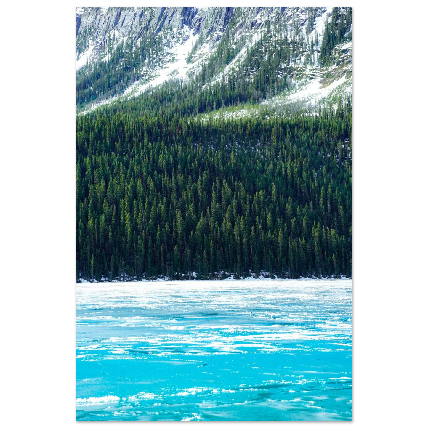 111df20b-fcf7-4ef0-89b4-5e4469e4e105