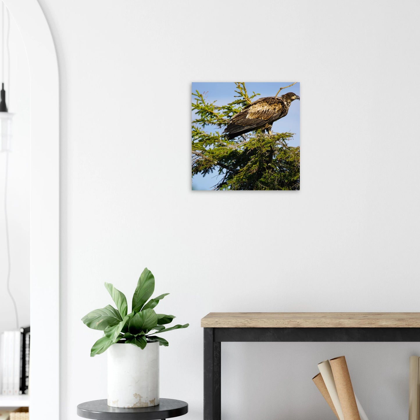 12828ed9-dd9f-4231-a255-86c731f5398b