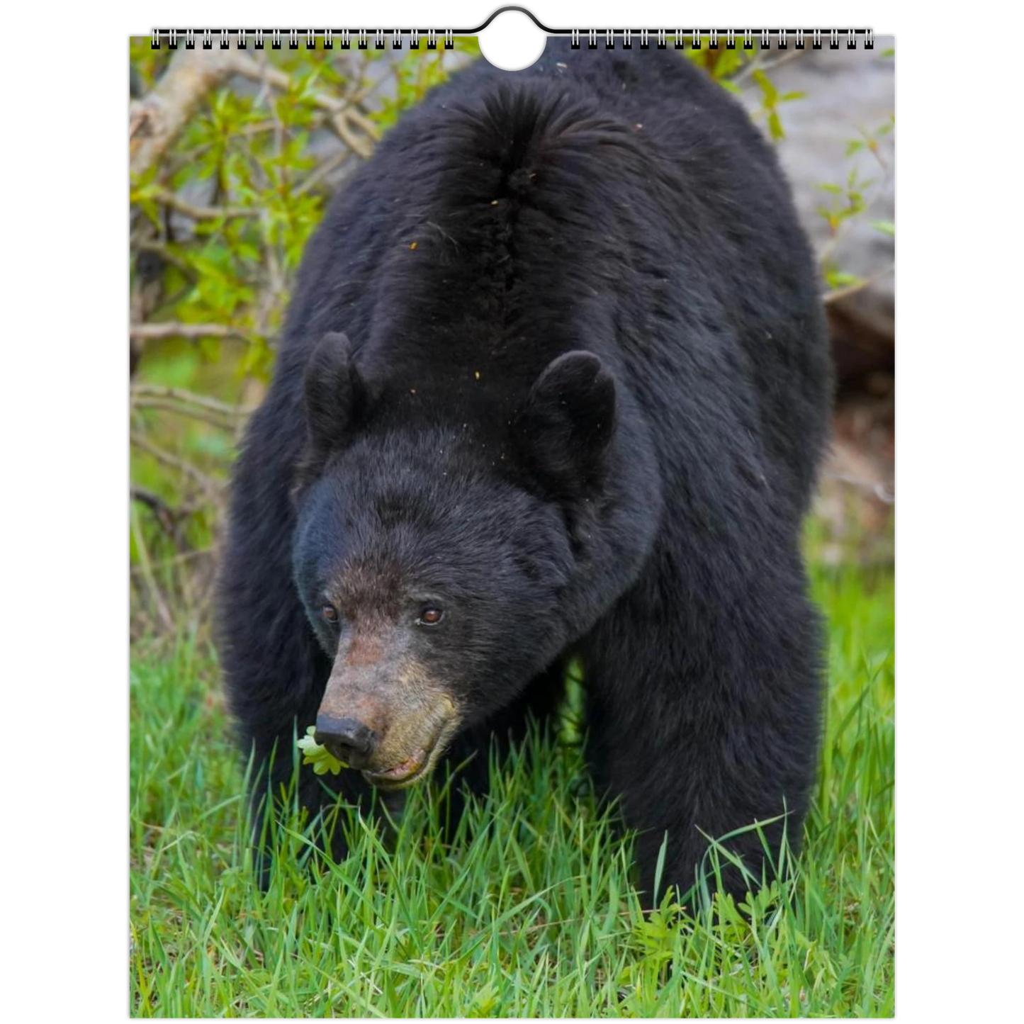 12882eed-979d-4f37-af88-d495fd1d64c1