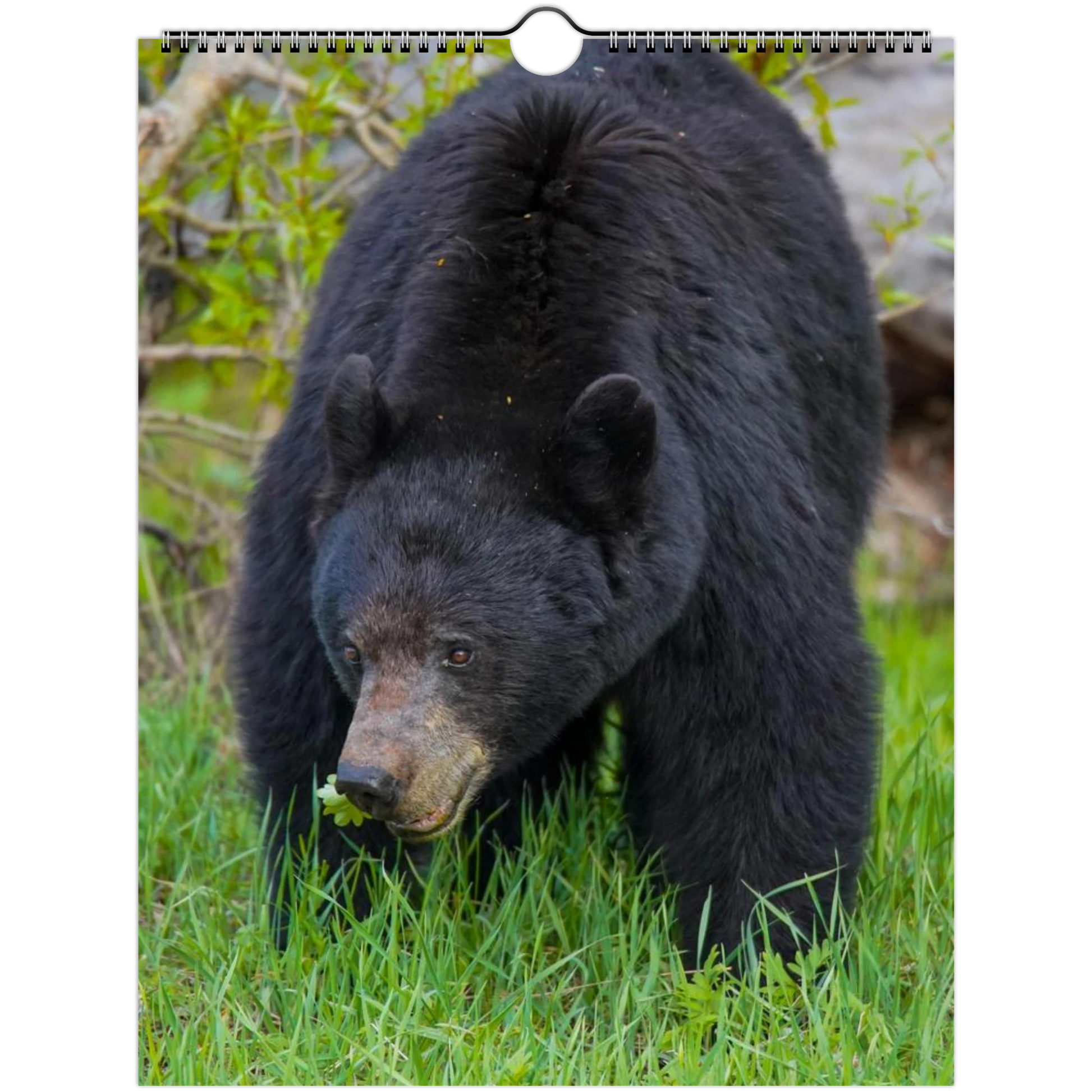 12882eed-979d-4f37-af88-d495fd1d64c1