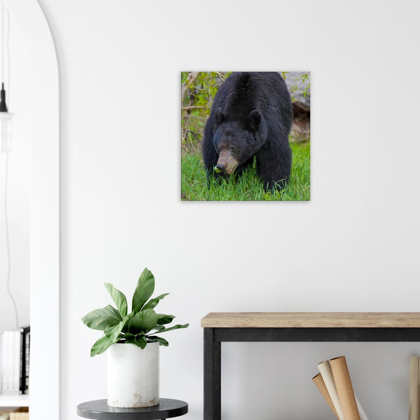 12b0576e-abb7-4a6a-81b3-0fd03d932ad8