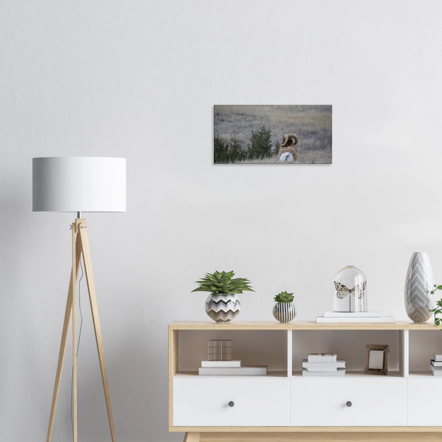 16a8c8b2-ae5a-47df-b39d-774a526ce49c