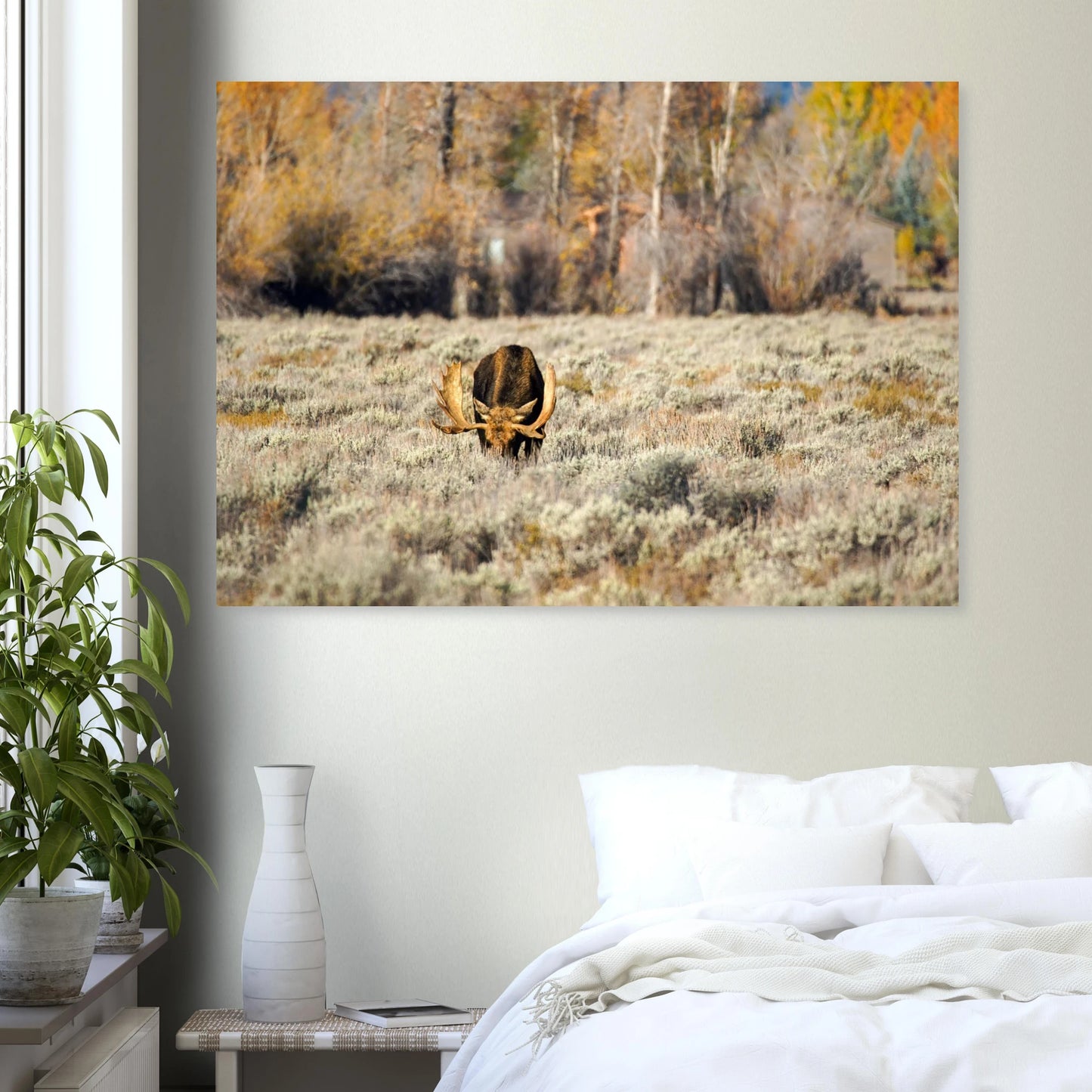 180c69b1-6cea-4cea-bda1-7cb9b56bf78f