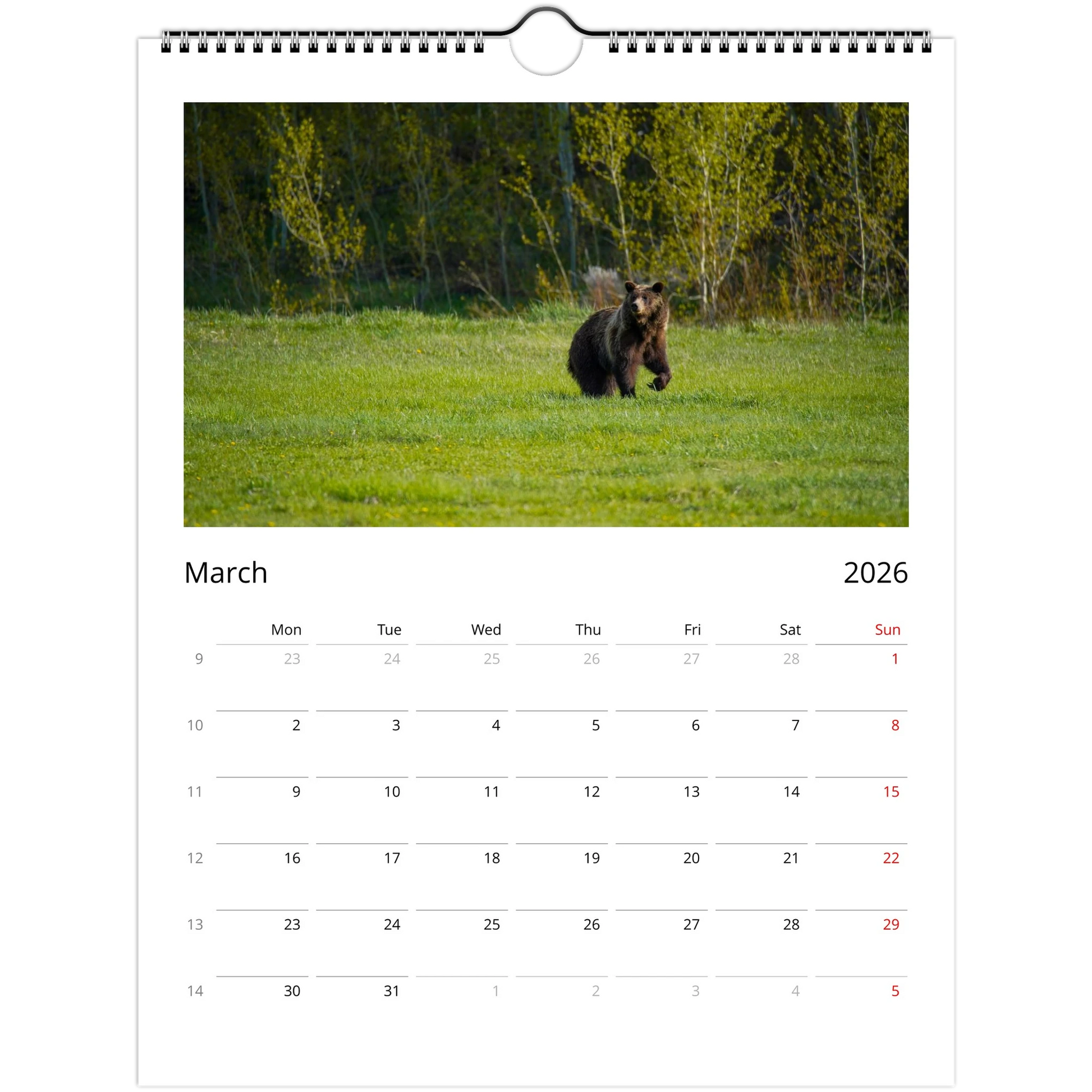 186f0877-5b24-407f-aed9-6013cfdf707c