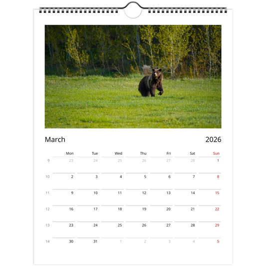 186f0877-5b24-407f-aed9-6013cfdf707c