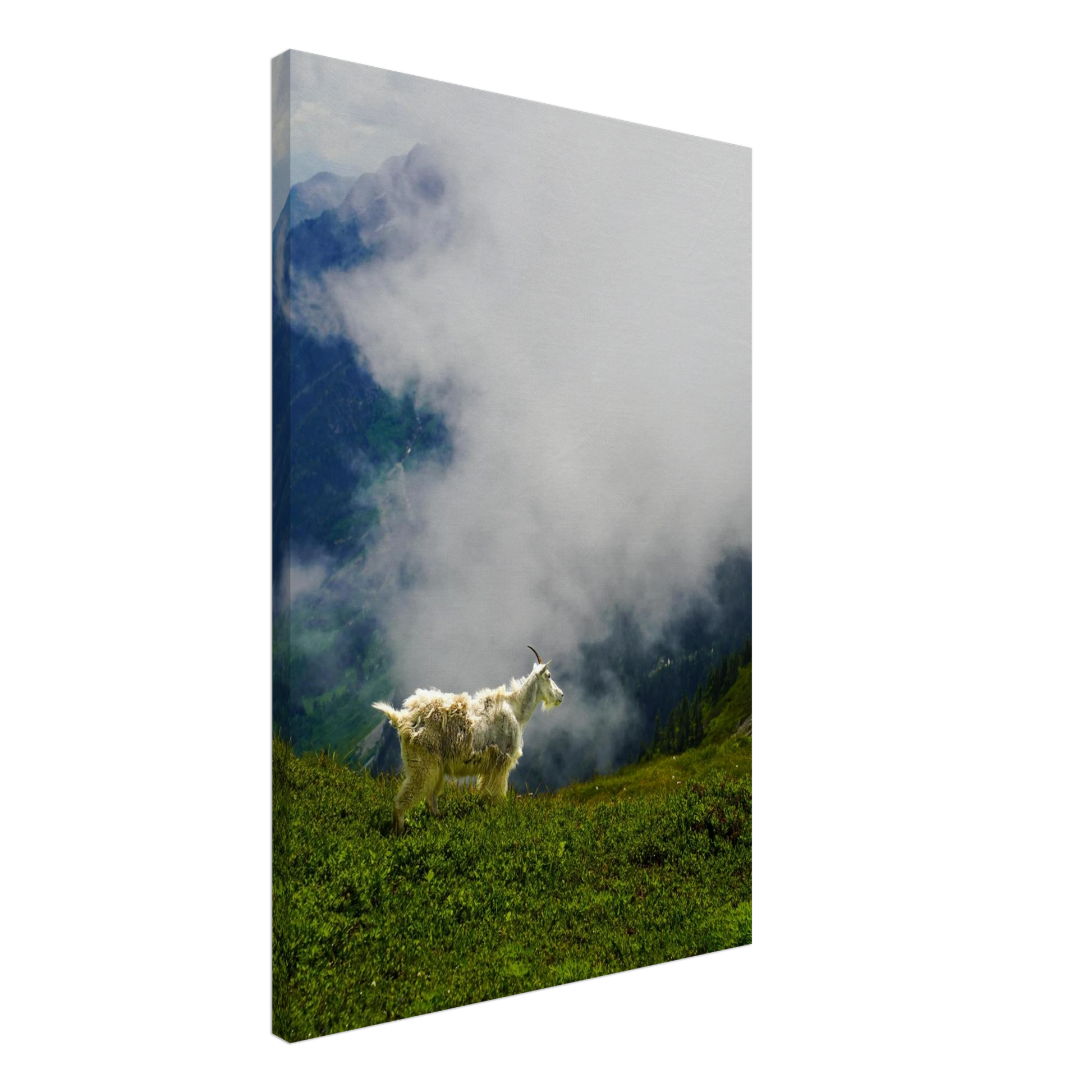 1f64abc7-95ca-4e0e-a0e4-fc7d118184fe