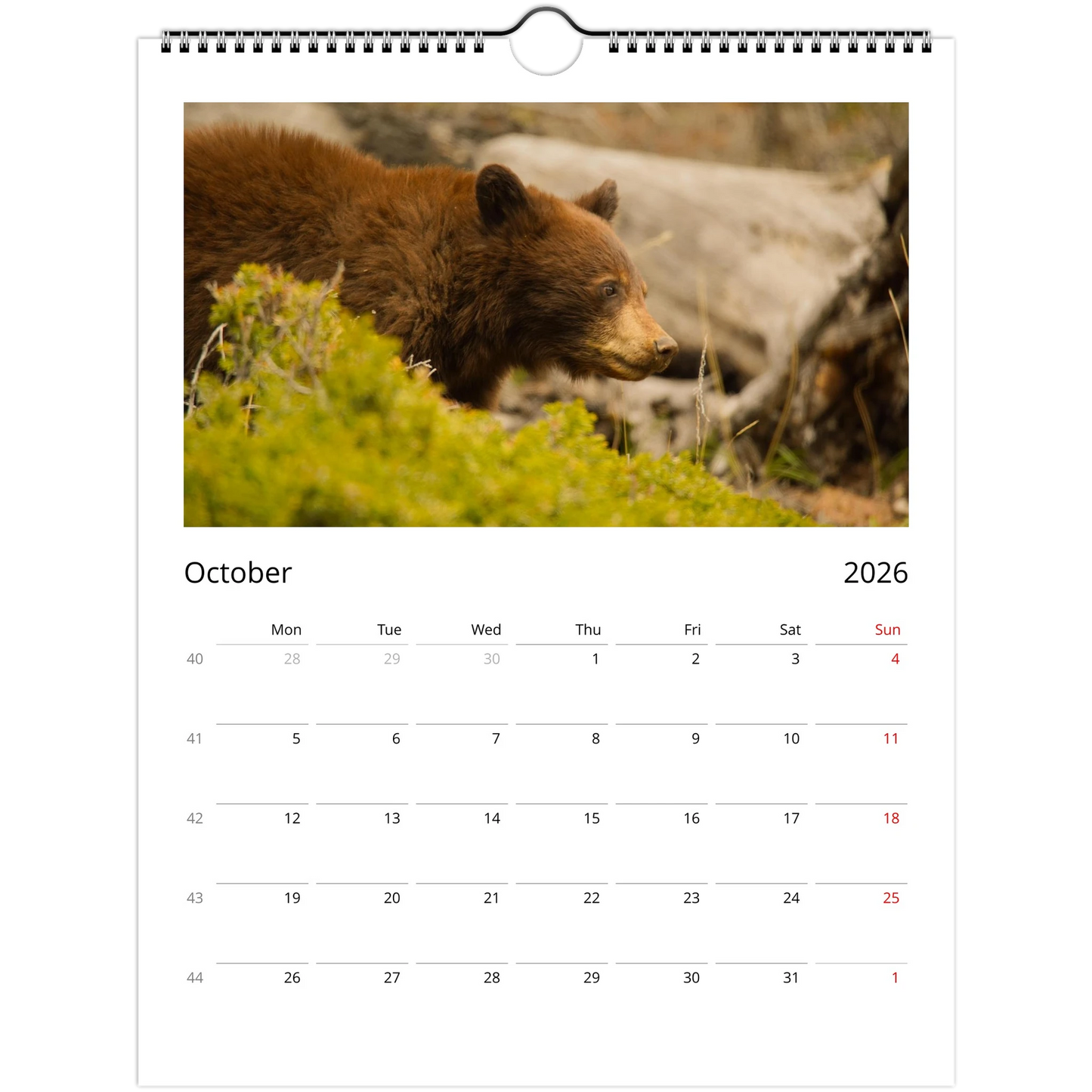 205320c8-6a77-422e-8ff8-f879ac09b876