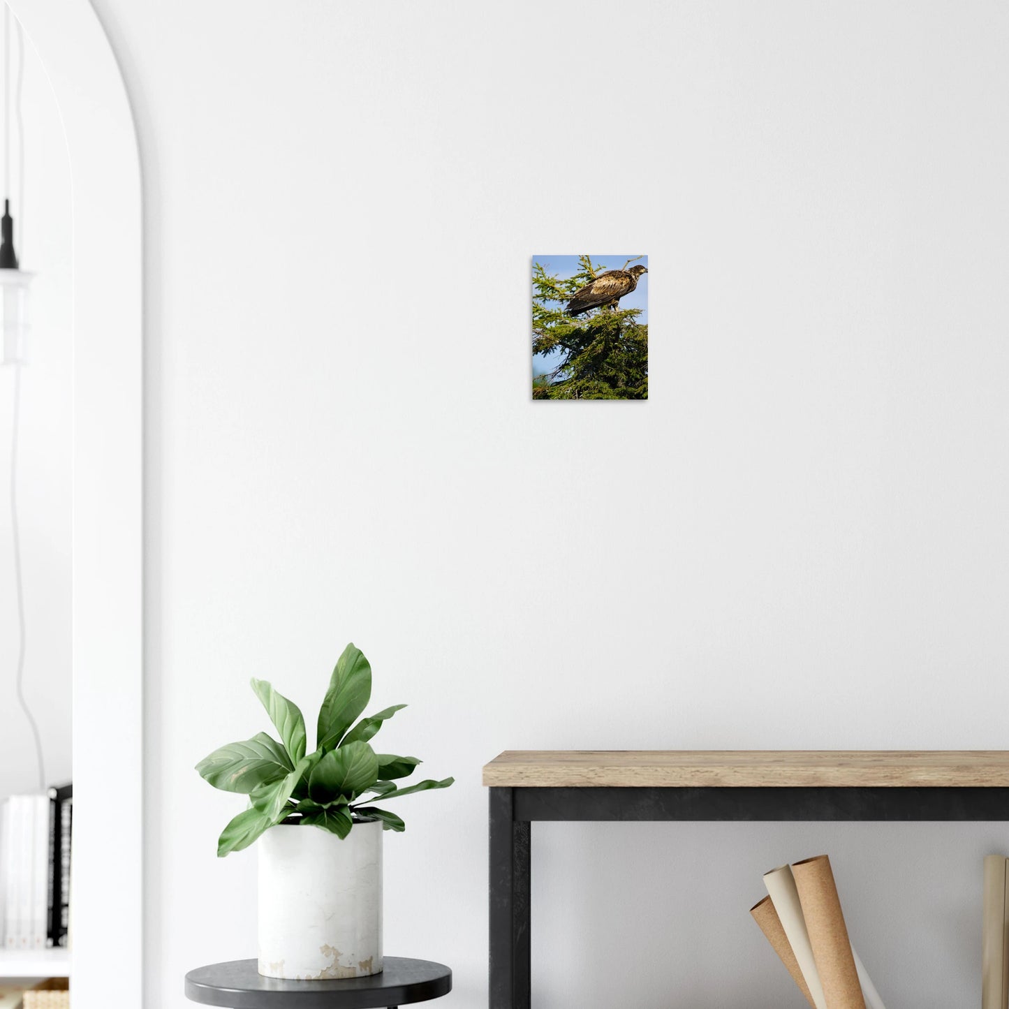 222d7539-8790-462c-a6bc-3593d528b8f4