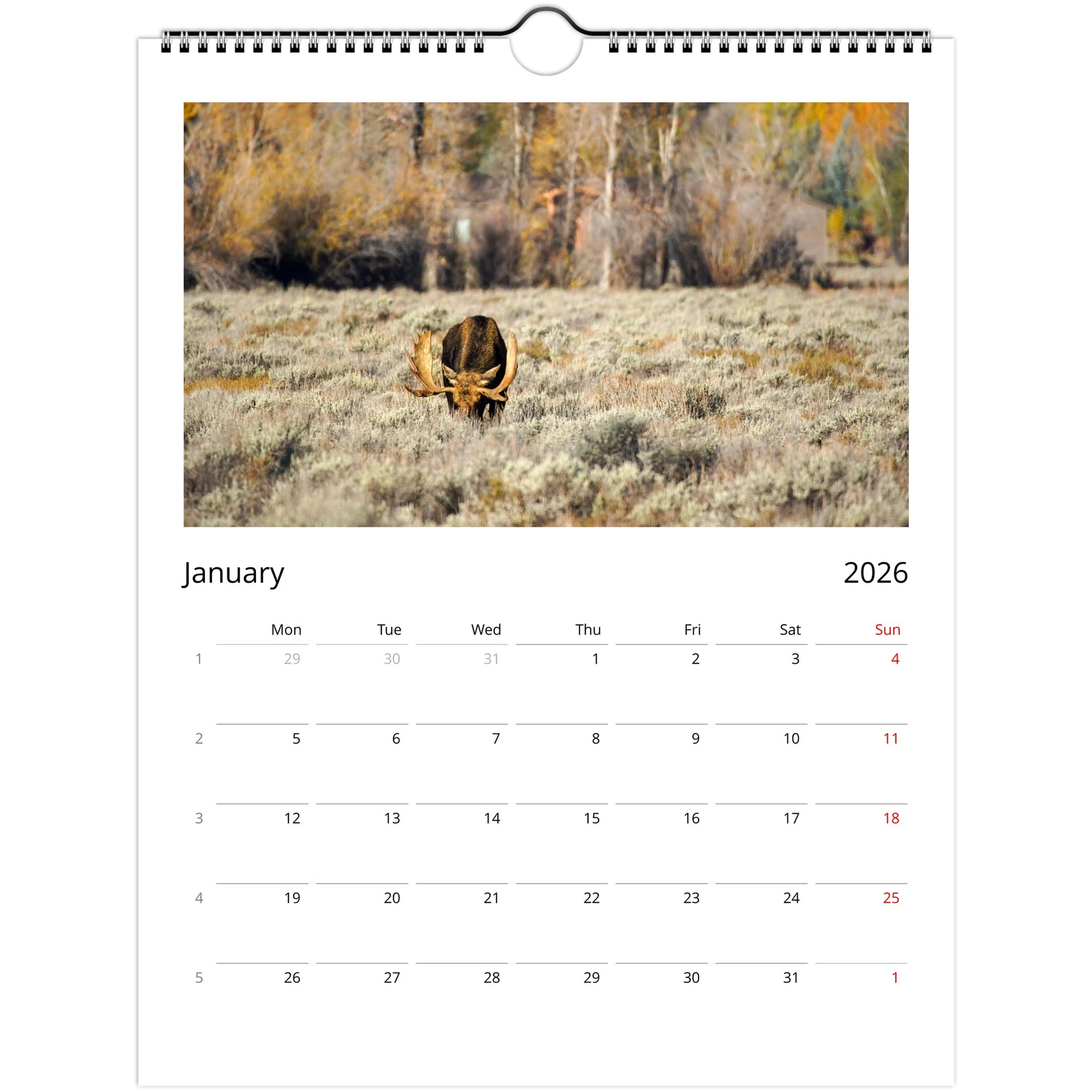 23d58f34-4c3c-473f-97c8-410fc8331234