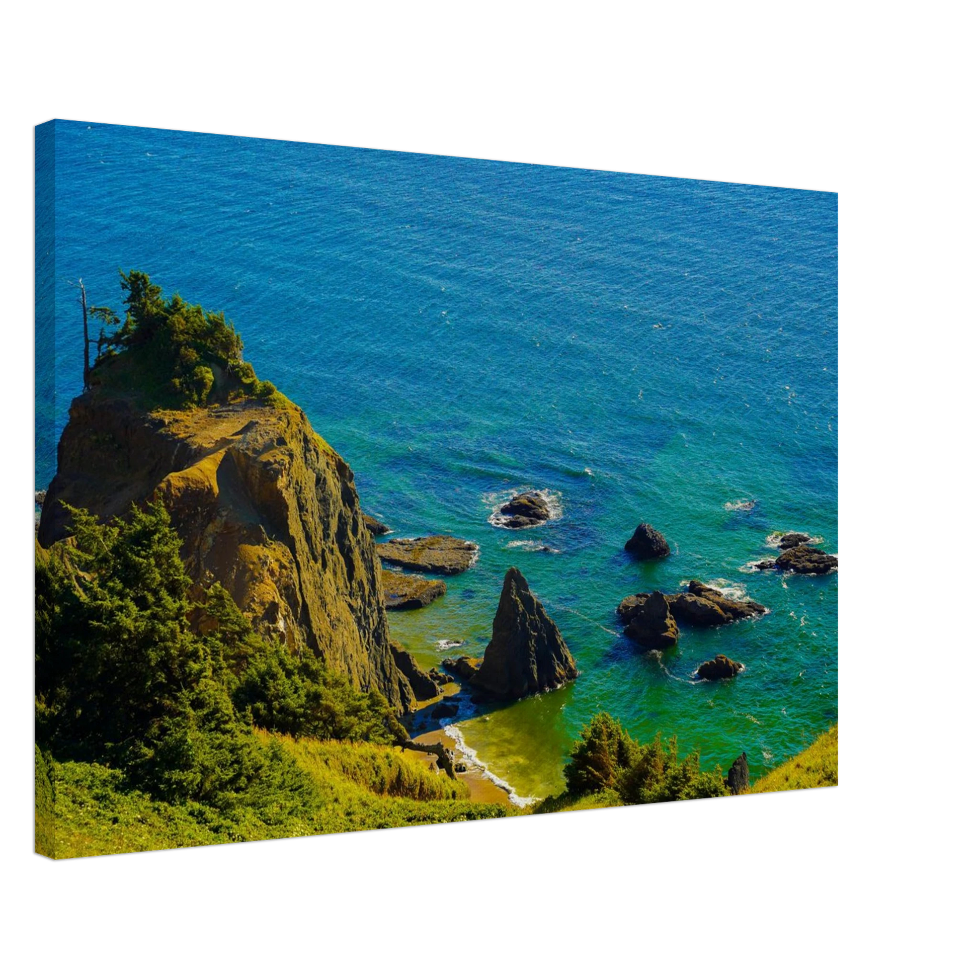 2656cb32-755c-4196-873e-4d78b04eca31