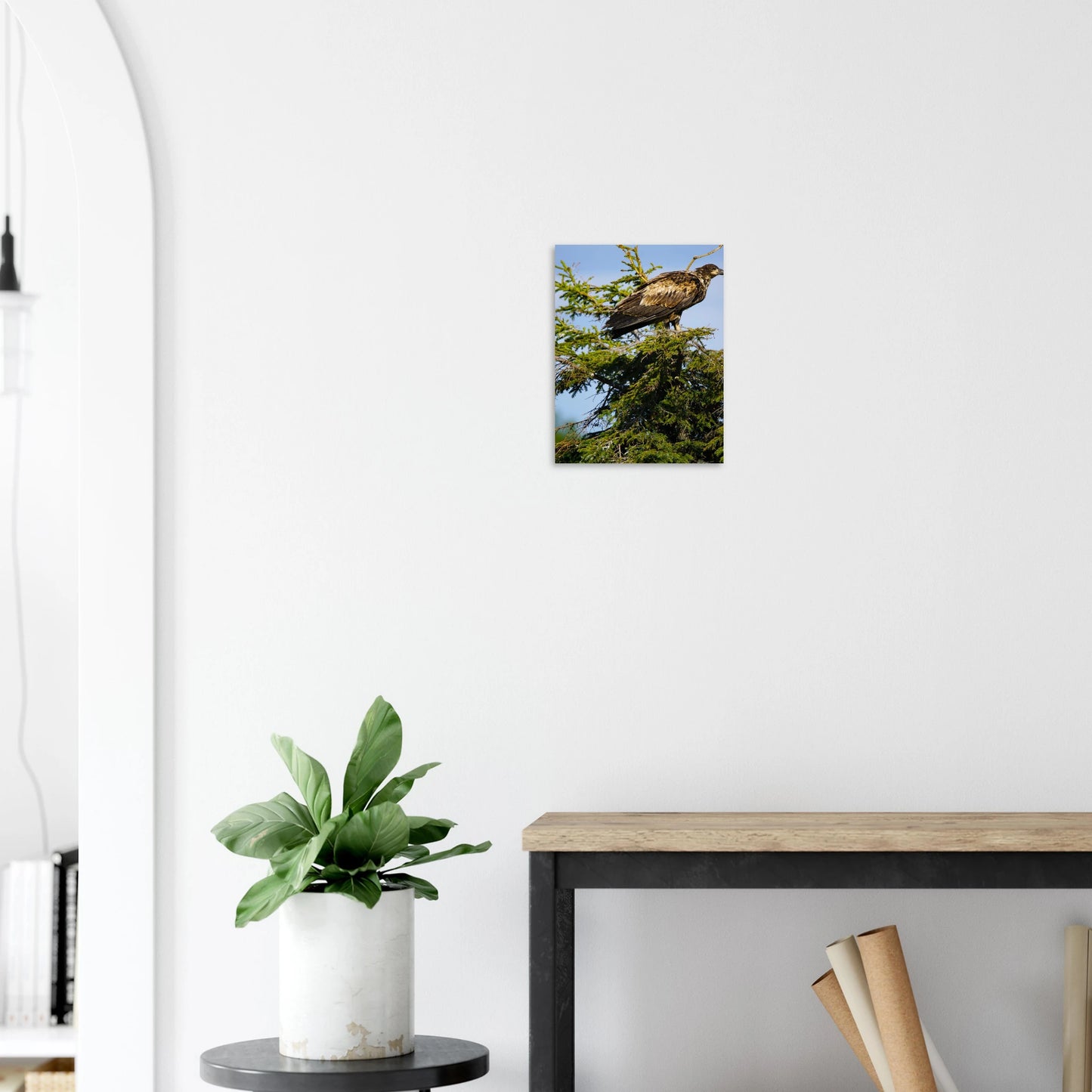 2752cb96-5ada-4e9e-85be-05dcf7bc35c6