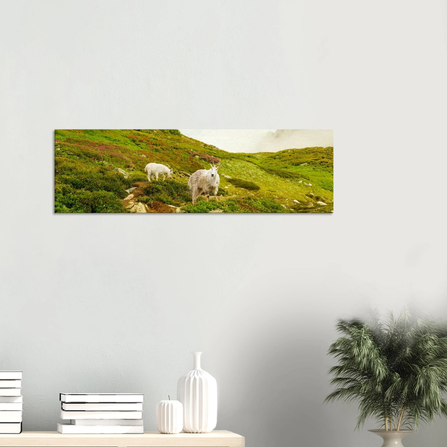 2858dd9e-81c3-44a8-bc5c-bc97d7584e29