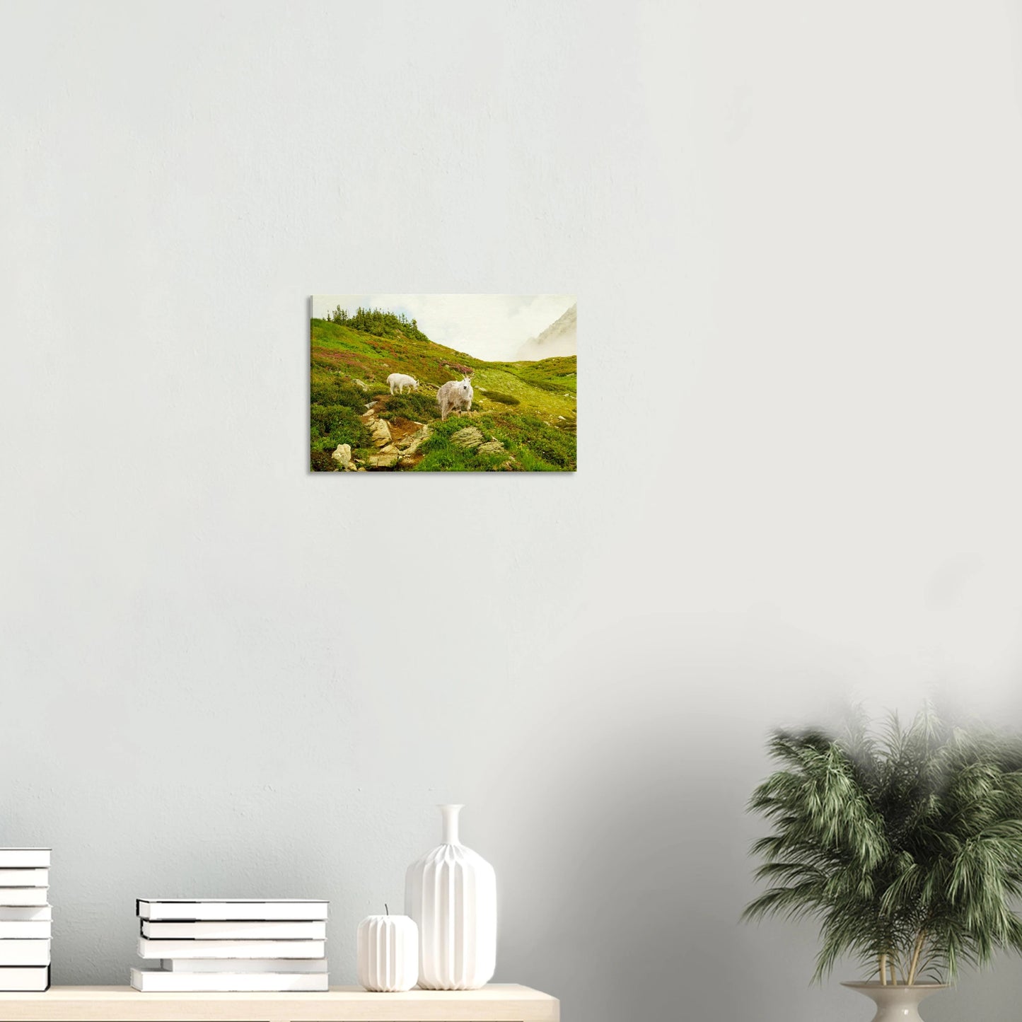 2c12a70a-65be-4ea6-a37a-2573c28a007e