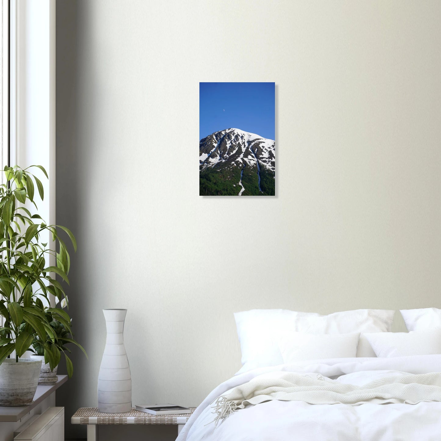 2c2085b6-7a0a-40a4-94ad-3b62c53e8138