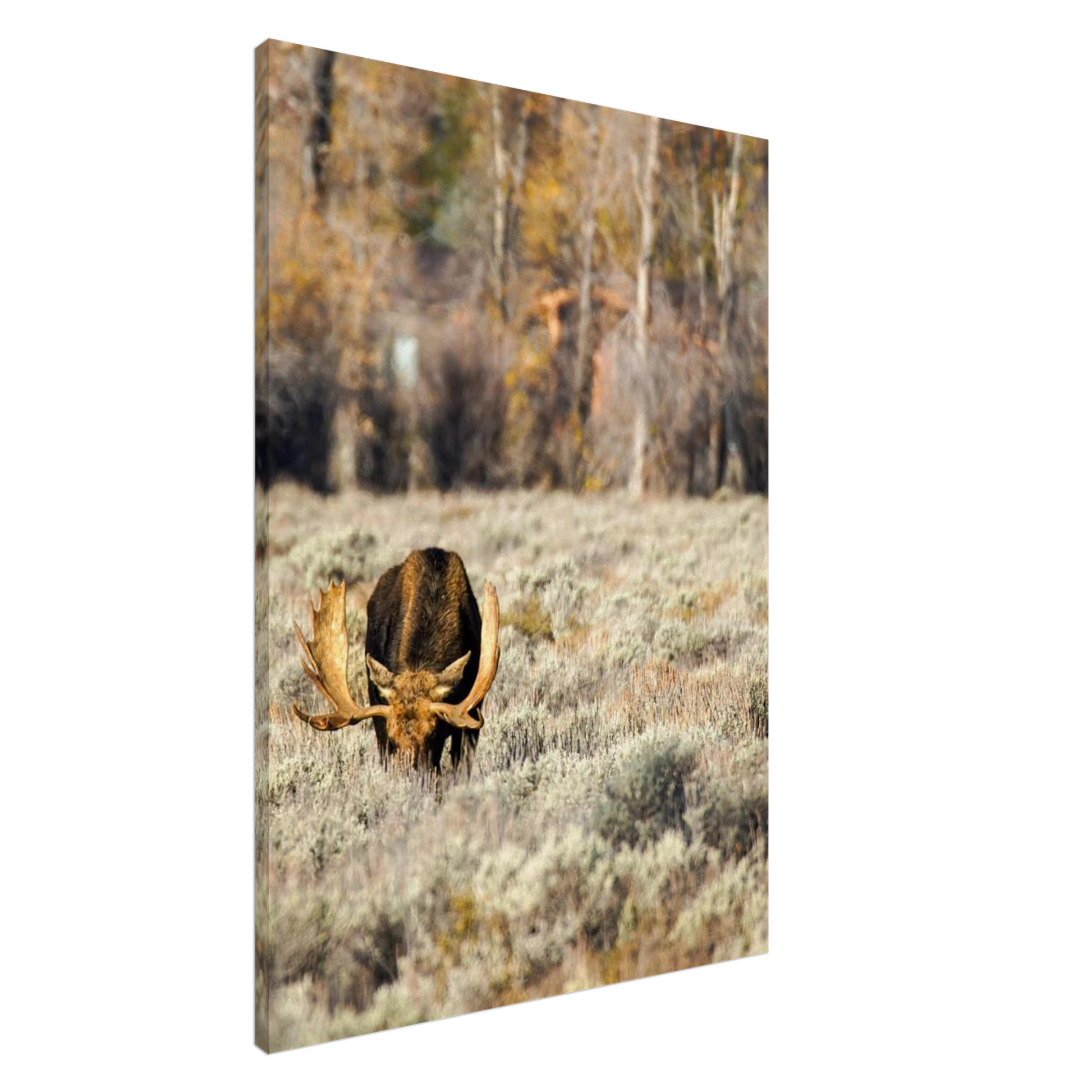 2c21f8cf-a313-4147-8d76-5c7c45d437a8