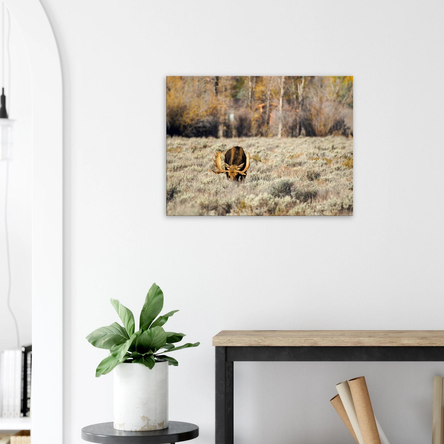 2cee026d-977d-46b2-9694-139c02681f2a