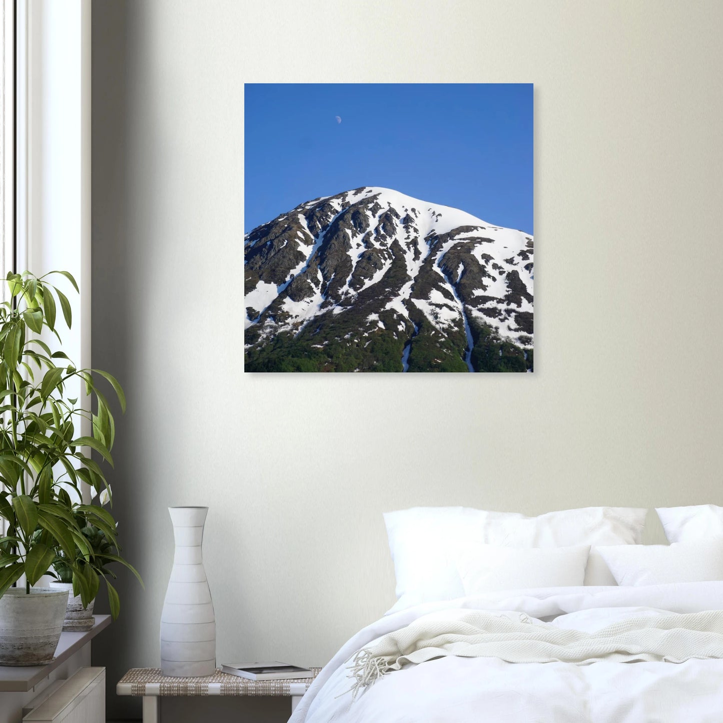 2cf2c120-0c6b-4a72-858c-8365186102ee