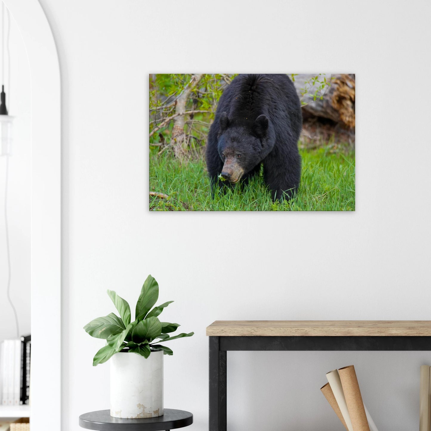 319d8a49-f1a7-49b1-8b9a-96d58ebd6662