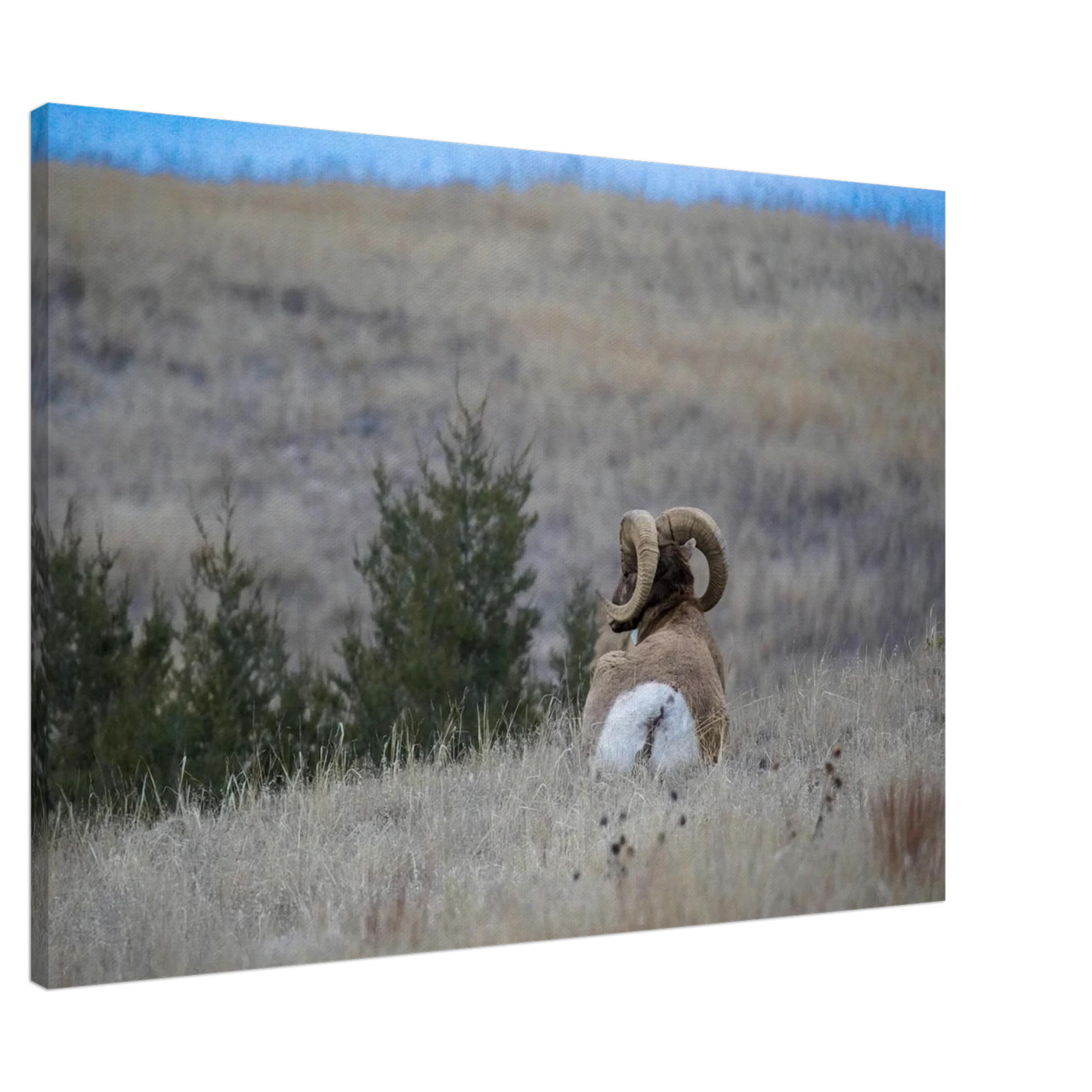 3584425b-c00a-4877-a49f-affa5d9575e7