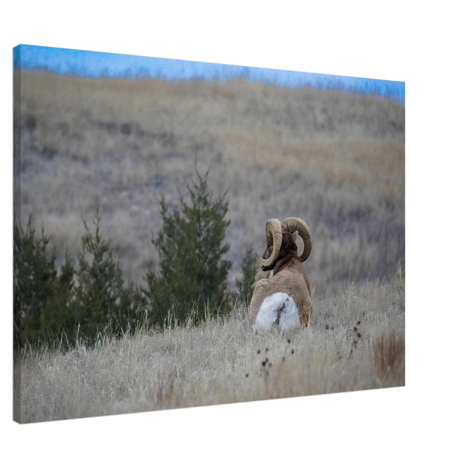 3584425b-c00a-4877-a49f-affa5d9575e7