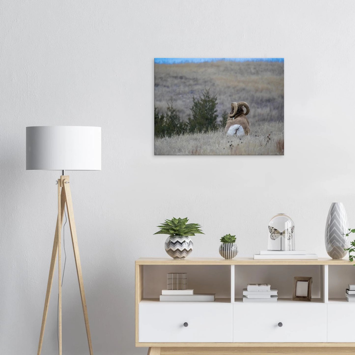 37108c4e-eae0-48bb-9b3f-bf883ede01fb