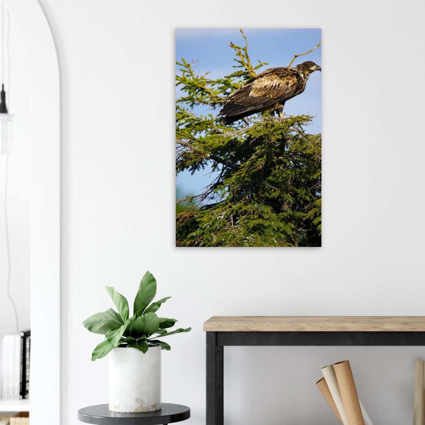 38e164d2-8a28-424f-9f4b-8d20c72fe51b