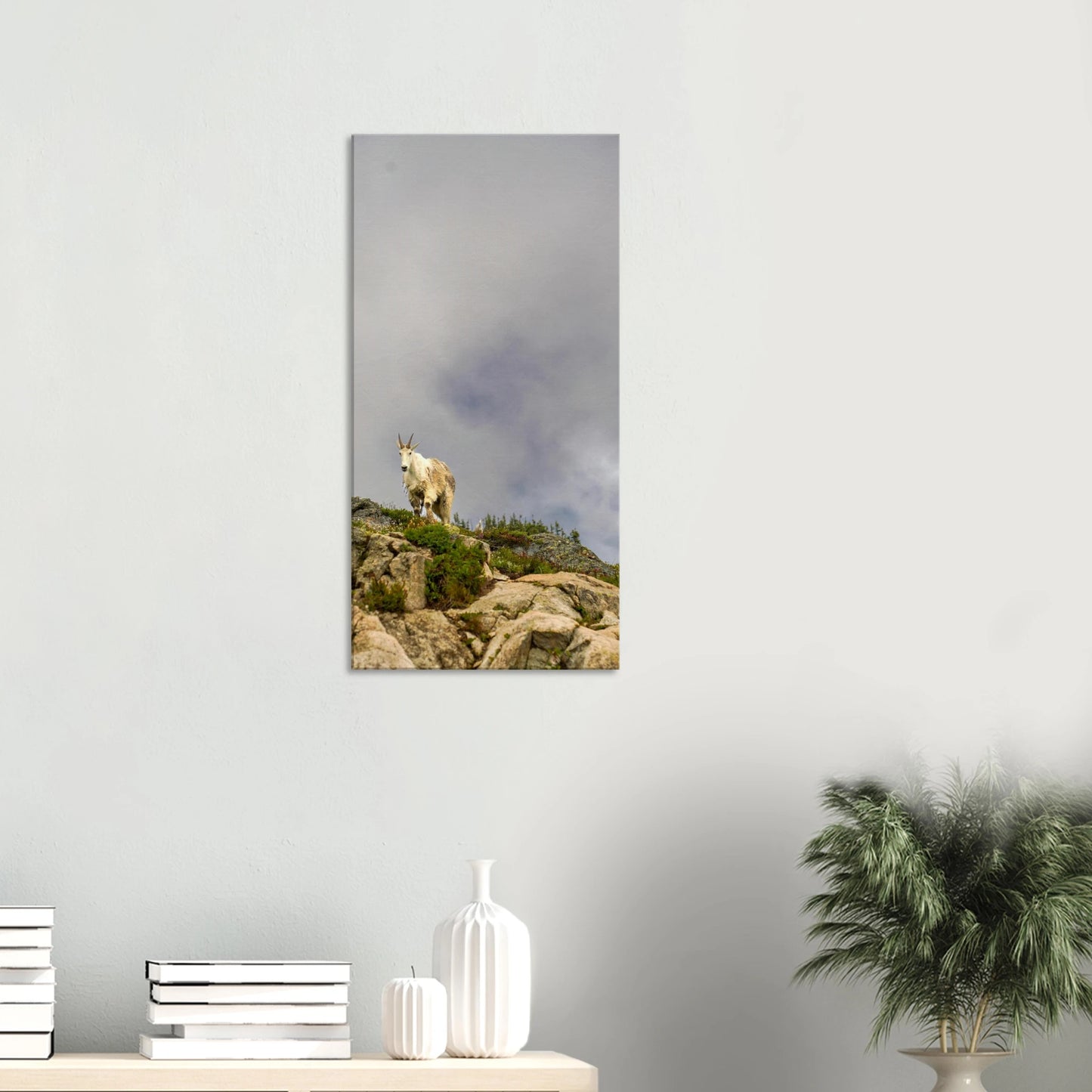 3c519872-3d3c-4d21-b596-ff7a17dfa287