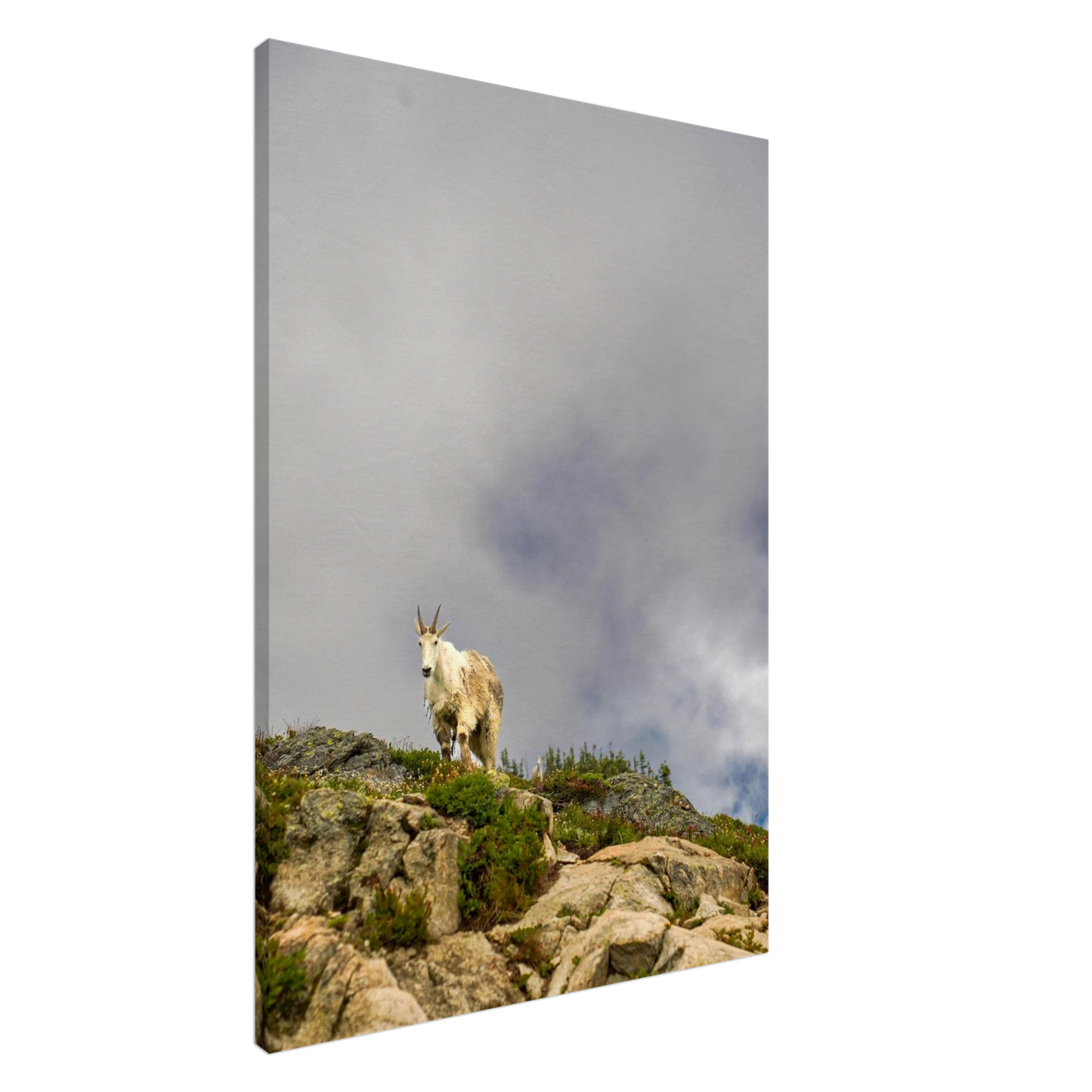 3c903b9e-ed28-4c0e-bd9c-61b6edb24913