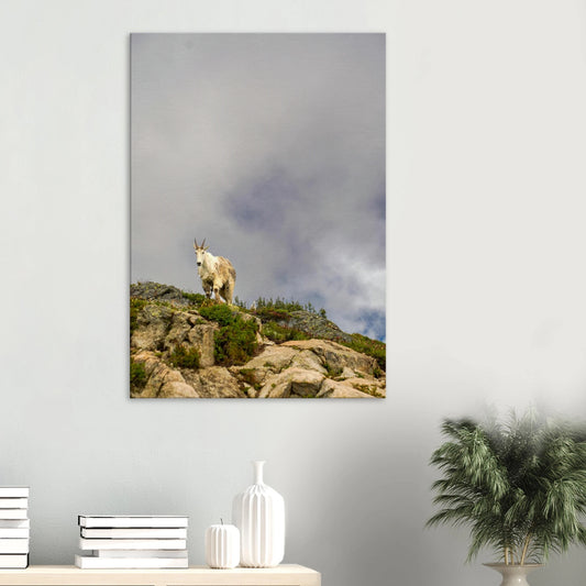 4055a3da-aba7-4f8f-b72b-82e07b894d8a