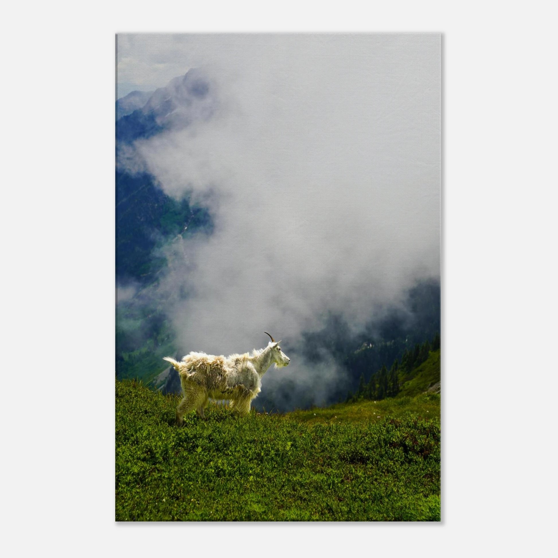 405ddf5c-be30-4c32-b62f-9291c7cc6b93