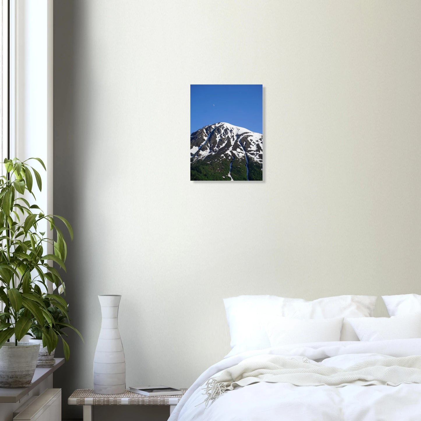 4356ecf5-0b4f-4900-a4a4-1a3562a74904