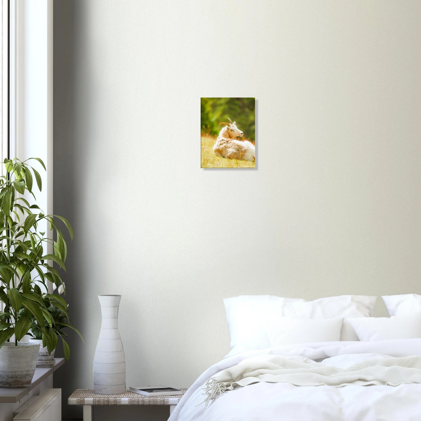 444d6b2b-7dc2-45b2-9a25-3ee7e452d233