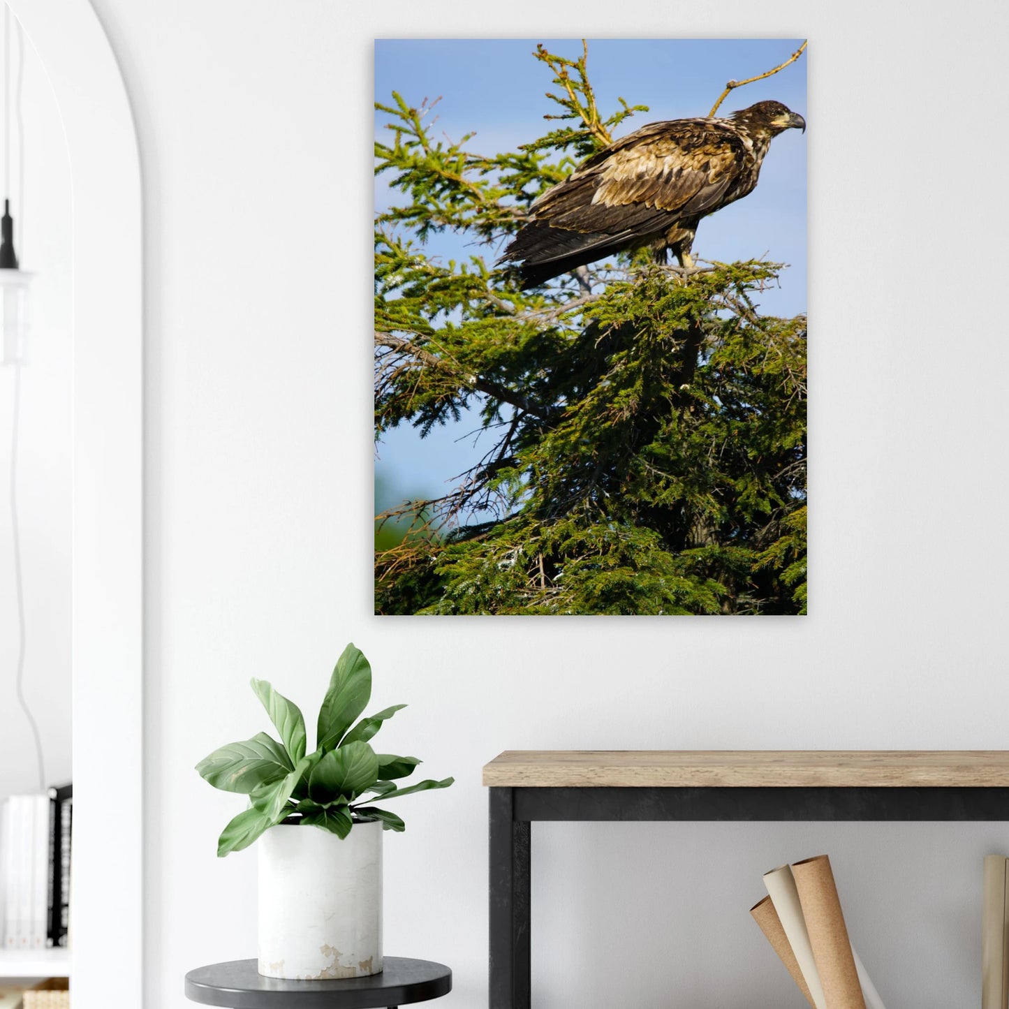 46058015-89eb-497e-815d-52dfe6262281