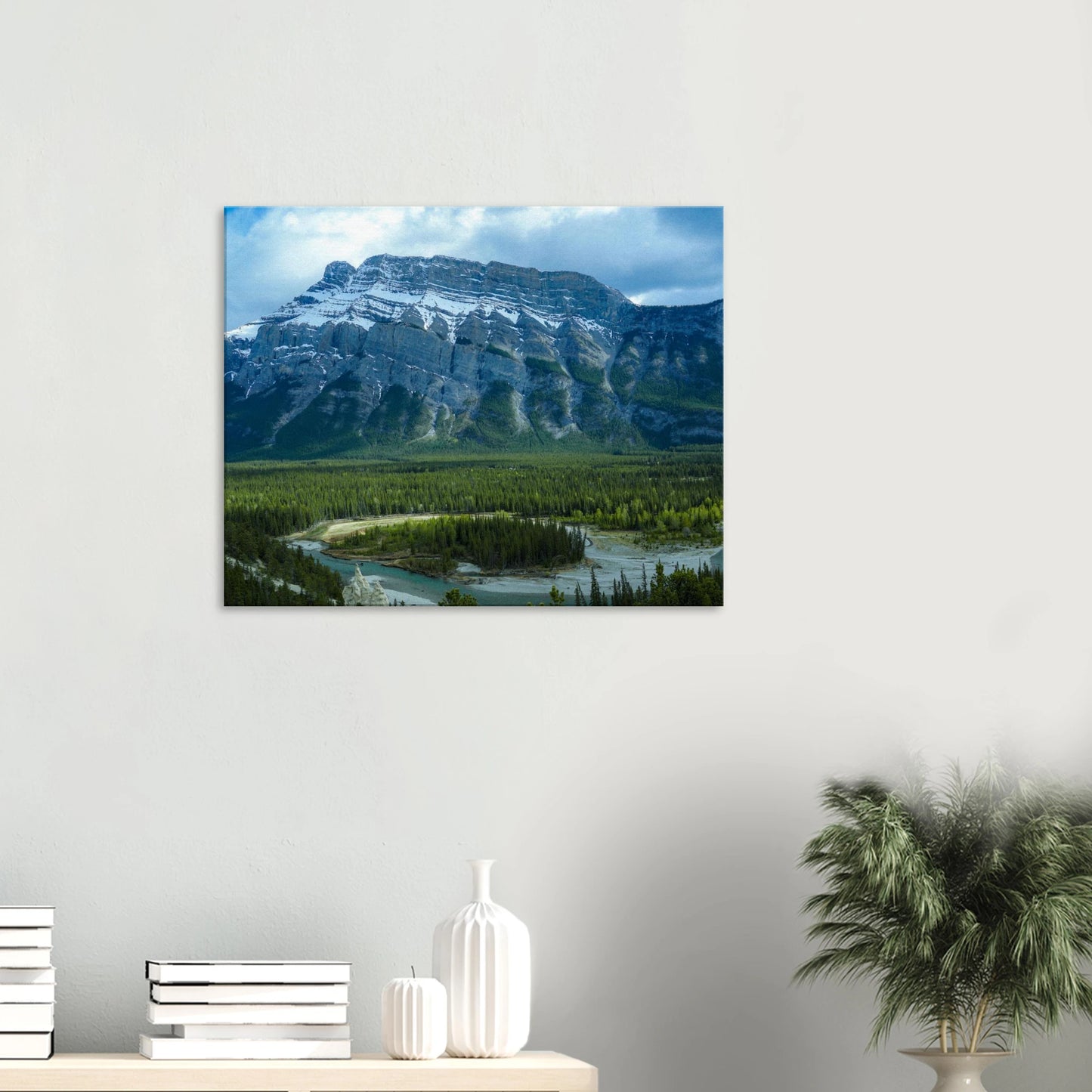 4774495b-ef20-4f20-a4b4-f6350a9d3a94